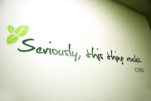 Mint Company Wall