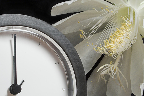 Clock midnight