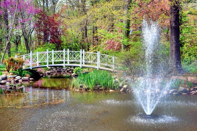 New-Jersey-Botanical-Garden