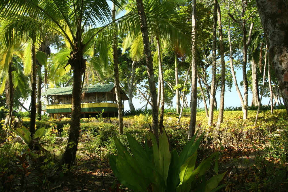 Is It Better To Use Cash Or Card In Costa Rica