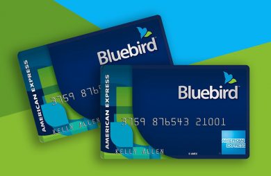 Remarkable Website - bluebird,com Will Help You Get There