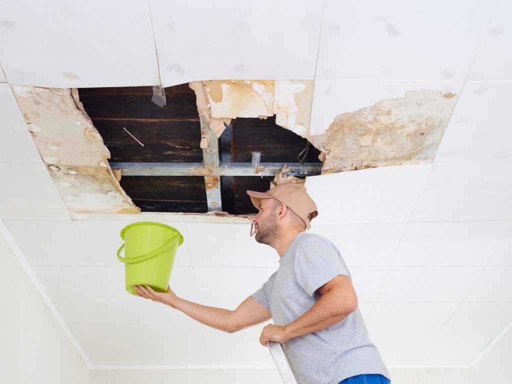 Homeowners Insurance And Roof Leaks And Damage