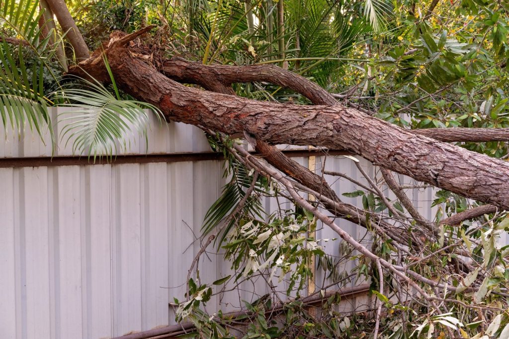 Does Home Insurance Cover Damage to a Neighbor’s Property?