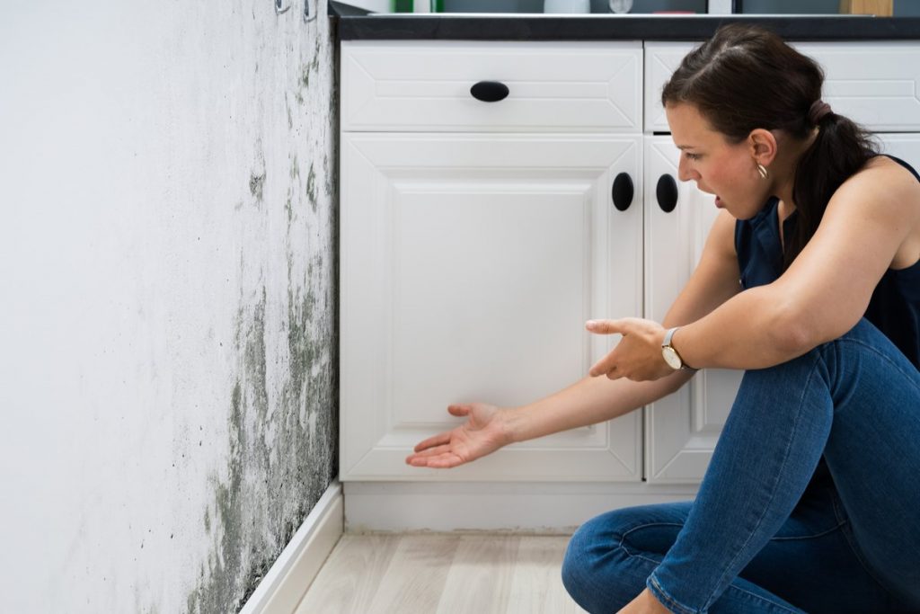 Homeowners Insurance and Mold Damage: When You Are and Aren't Covered